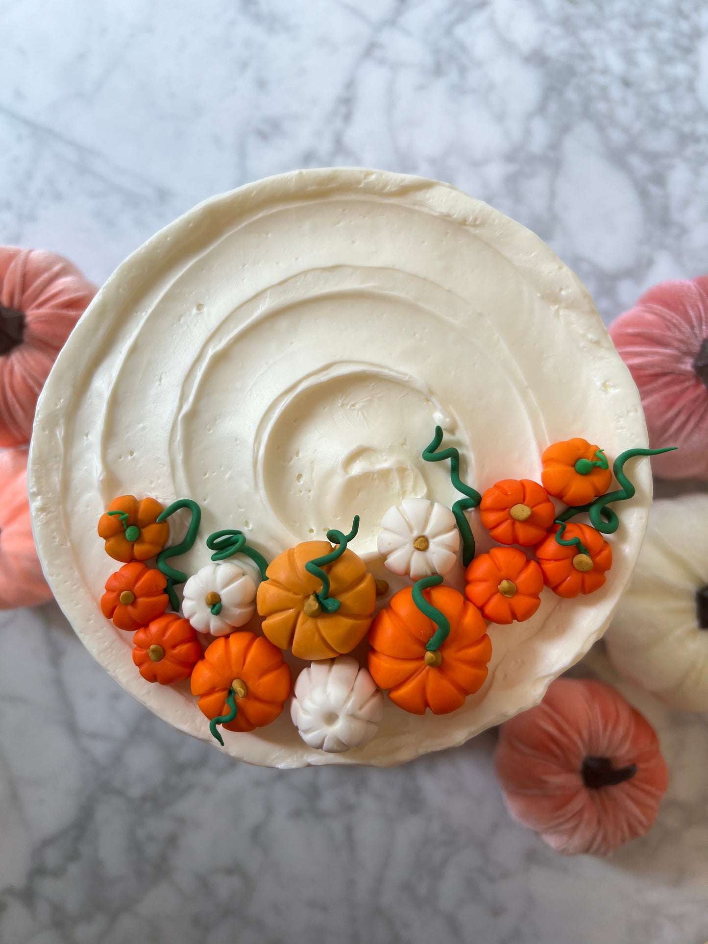Pumpkin Patch